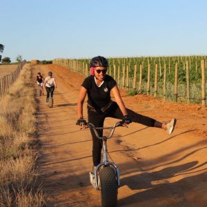 Scooter through Vineyards