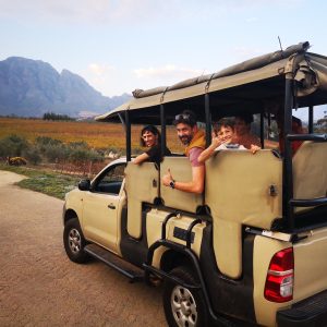 Wine Safari Stellenbosch