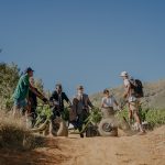 Franschhoek Scootours