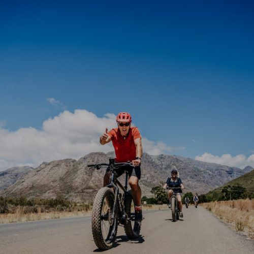 Vinebikes Franschhoek: Ebike Wine Tour