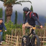 Franschhoek-VineBikes