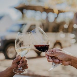 stellenbosch wine tour