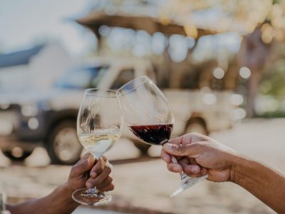 stellenbosch wine tour