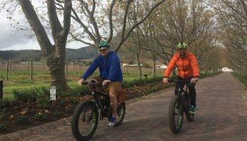 e-bike stelenbosch e-bike stelenbosch