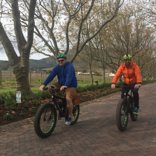 Vinebikes Stellenbosch