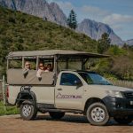 Wine tour stellenbosch