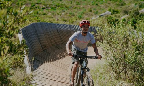 Vine-Bikes-Stellenbosch-02