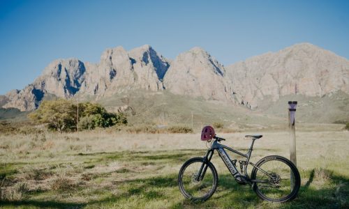 Vinebikes_Bike_Rentals-8