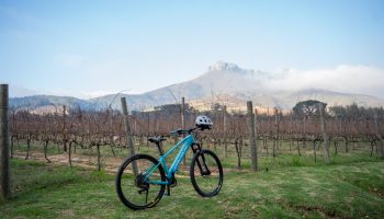 Vinebikes_Rentals_Lanzerac Vinebikes_Rentals_Lanzerac