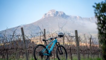Vinebikes_Rentals_Lanzerac-3 Vinebikes_Rentals_Lanzerac-3