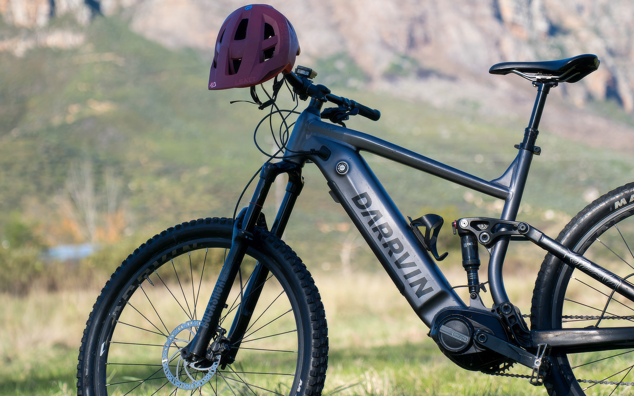 Vinebikes_Bike_Rentals